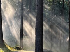 -玉苍山国家森林公园