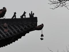 -杭州半山国家森林公园