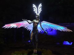 -锦江乐园舞狸花花游园会(夜场专享)