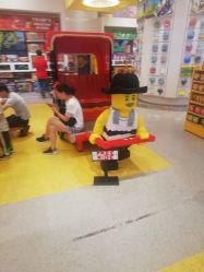 -乐高品牌旗舰店(人民广场店)