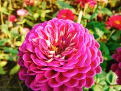 -艾溪湖湿地公园