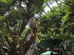 -云境生态园(红谷滩店)