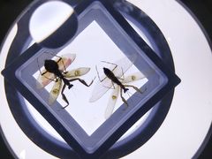 -上海昆虫博物馆