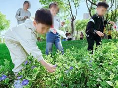 -无锡金色摇篮幼儿园(宝龙城市广场店)