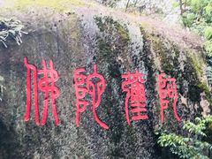 -青芝山风景名胜区