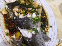 -电白鸭粥店(下沙二坊88号店)