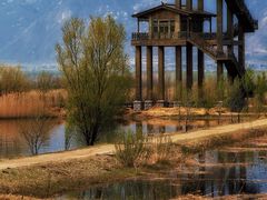 -野鸭湖国家湿地公园