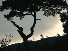 -妙峰山风景名胜区