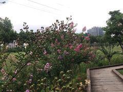 -四里河滨水生态公园