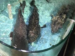 -渔民新村(番禺总店)