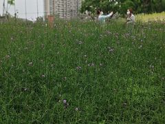 -儒之堂足道·SPA·推拿(莫干山路店)