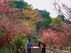 -乌山风景区