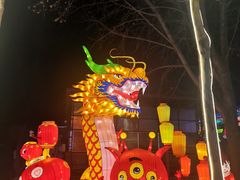 -淄博花灯齐彩城