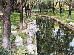 -大望京公园