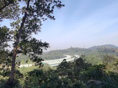 -深圳仙湖植物园