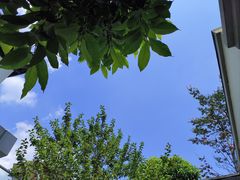 -成都院坝精品私汤民宿酒店