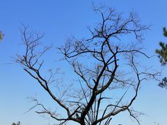 -风云岭森林公园