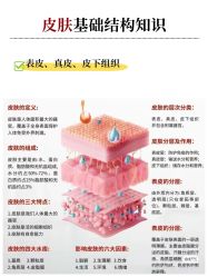 点击看大图 -玛莲朵·海菲秀冰珀科
