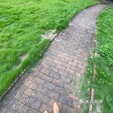 Bo's 探索坪山的小宝藏面包店