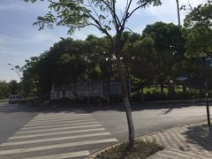 -美兰湖景区