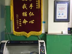 -半岛宠物医院24小时(科华中路店)