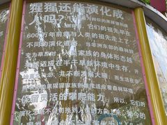 -华山儿童公园