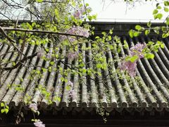 -大觉寺-停车场