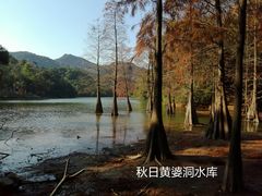 -广州市白云山风景名胜区