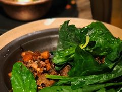 -毛辣果·酸(OHA复兴西路店)