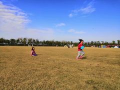 -春花秋色城市公园