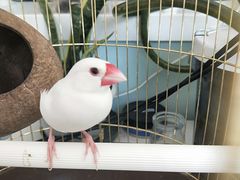 -平行世界·猫咖(首经贸店)