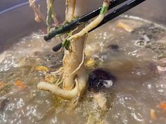 -千岛蚝高压锅生蚝·人参火锅(白云万达店)