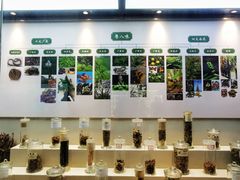 -广东中医药博物馆