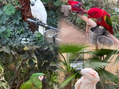 -南宫五洲植物乐园