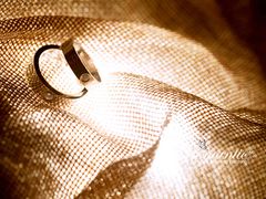 上海浪漫爱都婚礼策划-上海安亭别墅花园酒店