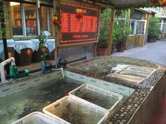 胖姐新村风味鱼村-胖姐渔村(中源大道店)