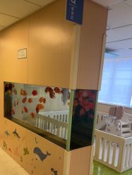 -杭州贝瑞斯美华妇儿医院·早孕·产检·儿科