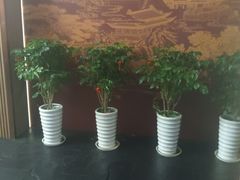 -旭川 SPA·按摩·足道(大木桥路店)