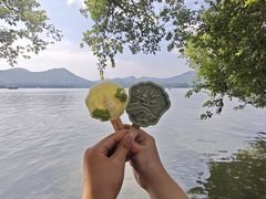 -西湖游船