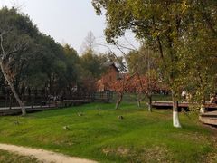 -良渚古城遗址公园
