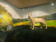 -上海公安博物馆