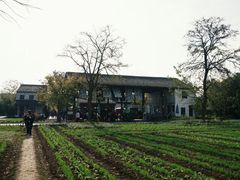 -田园东方蜜桃村的田野营地