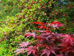 -千岛湖城中湖游船码头