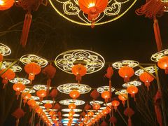 -青龙湖公园