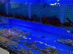 -義聚德·清真铜锅涮羊肉·烧烤(河东店)