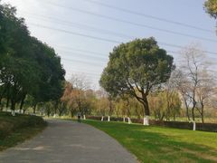 -九里河湿地公园