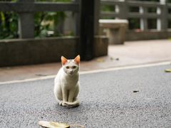 -广州市白云山风景名胜区
