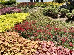 -东钱湖小普陀景区