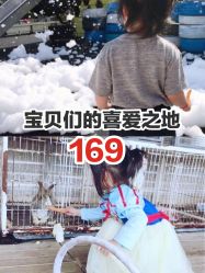 -小蜜蜂农场(凯德七宝购物广场店)