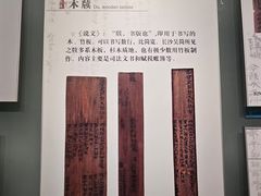 -长沙简牍博物馆